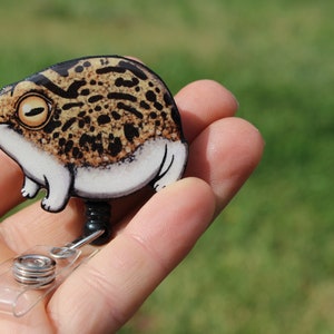 Rain Frog Badge Reel Id holder Retractable ID Badge holder CNA HCA Housekeeping veterinarian Nurse Frog lover gift Animal Badge reels image 1