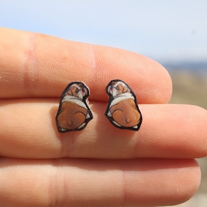 Bulldog Stud Earrings: Gift for bull dog animal lovers, vet techs, veterinarians, zookeeper's cute earrings with Stainless Steel Posts