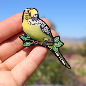 Budgie Magnet: Gift for Parakeet bird lovers, vet techs, veterinarians, zookeepers, vet techs cute animal magnets for locker or fridge
