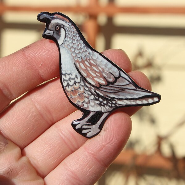 Quail Magnet: Gift for bird lover, vet tech, zookeeper, bird hunter, veterinarian cute animal magnets for locker or fridge