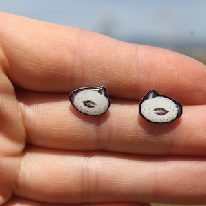 Sea Bunny Nudibranch Earring Studs: Gift for ocean sea slug lovers, vet techs, zookeeper's cute earrings with Stainless Steel Posts