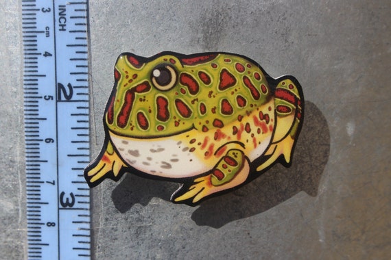 Pacman Frog Magnet: Gift for Frog Lover, Vet Tech, Veterinarian