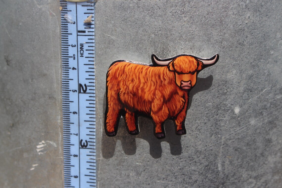 Highland Cow Gift for Beef Cattle Lover Vet Tech Etsy