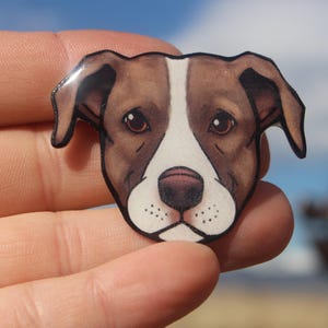 Pitbull Magnet: Gift for pit bull lovers, teachers, vet techs, veterinarians, dog loss memorial cute animal magnets for locker or fridge