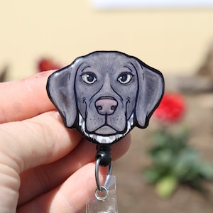 May include: A black and white cartoon illustration of a German Shorthaired Pointer dog on a retractable badge holder. The dog is wearing a white collar with black spots.