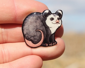 Opossum Magnet: gift for possum lovers, vet techs, veterinarian, zookeepers cute animal magnets for locker or fridge