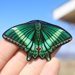 May include: A green and black butterfly with intricate wing patterns. The butterfly is made of a glossy material and has a 3D effect.