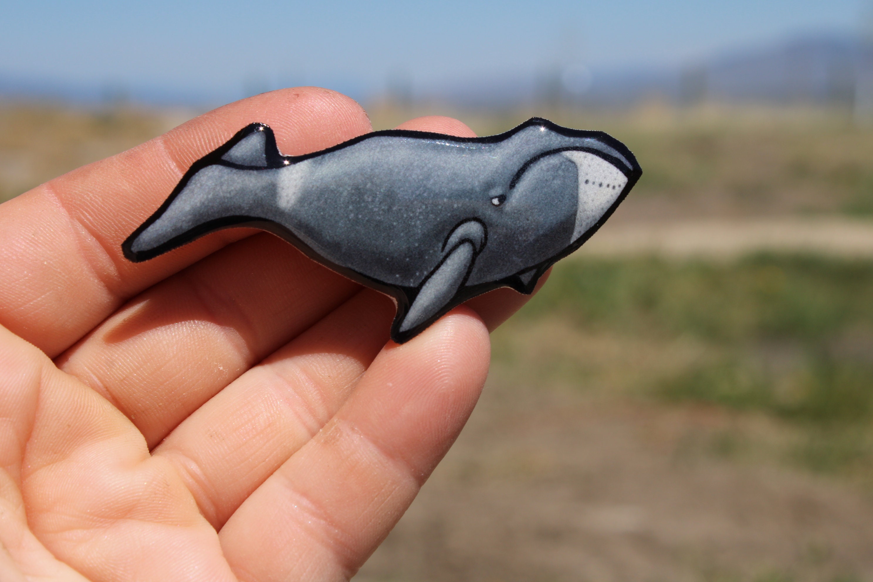 Bowhead Whale Magnet: Gift for whale lovers, vet techs, zookeepers, veterinarian cute ocean animal magnets for locker or fridge