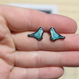 Quaker Parrot Stud Earrings: Gift for bird animal lovers, vet techs, veterinarians, zookeeper's cute earrings with Stainless Steel Posts