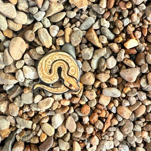 May include: A decorative pin featuring a stylized snake design in shades of tan, cream, and black. The pin is set against a background of various-sized pebbles in neutral tones of brown, gray, and beige.