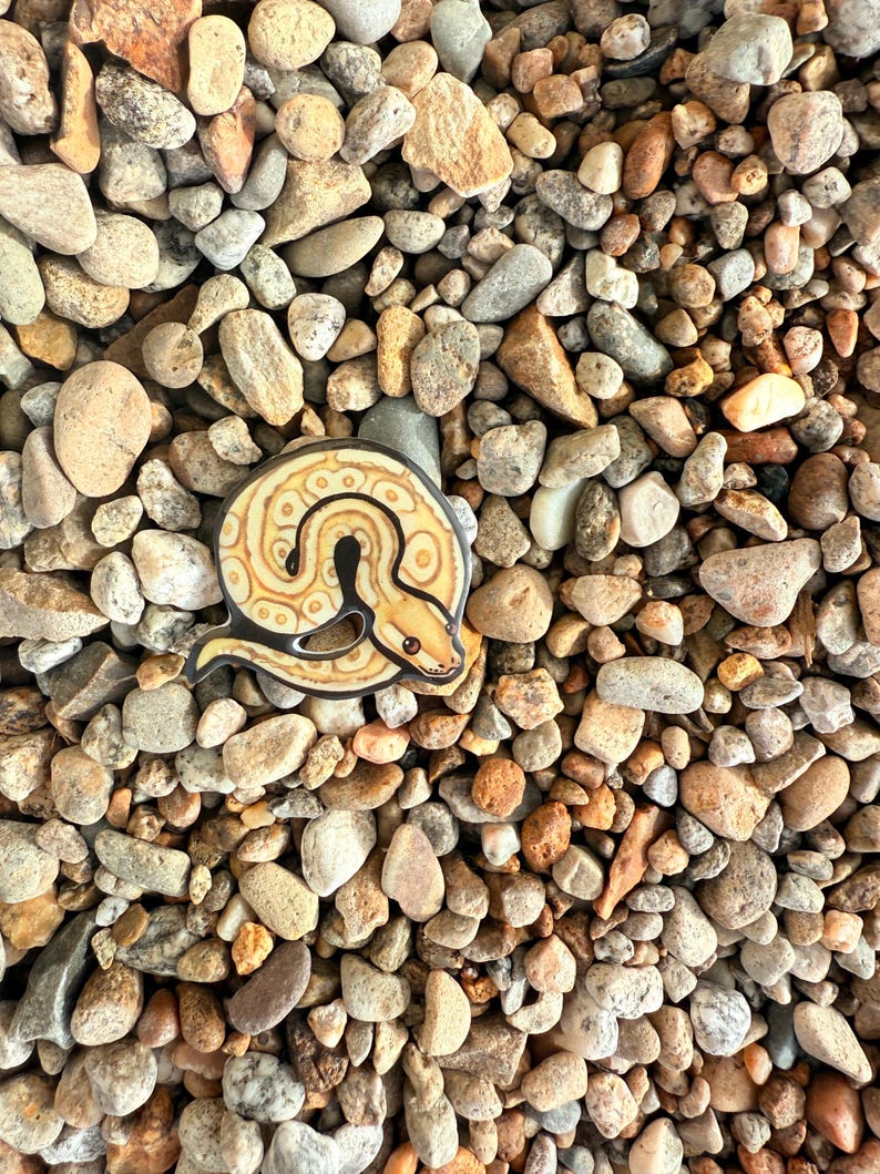 May include: A decorative pin featuring a stylized snake design in shades of tan, cream, and black. The pin is set against a background of various-sized pebbles in neutral tones of brown, gray, and beige.