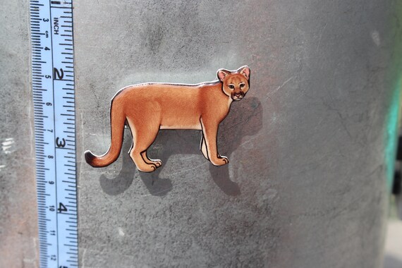 lion puma