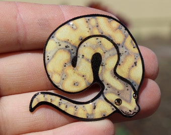 Banana Ball Python Magnet : Gift for snake lover, vet tech, veterinarian, zookeeper cute animal magnets for locker or fridge