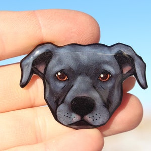 Pitbull Magnet: Gift for pit bull lovers, teachers, vet techs, veterinarians, dog loss memorial cute animal magnets for locker or fridge