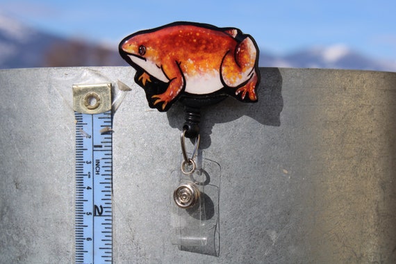 Zombie Frog Badge Reel ID Holder: Gift for Frog Lovers, Vet Techs,  Veterinarians, Zookeepers, Medical Workers Animal Badge Reels -  Canada
