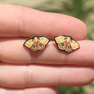 Io Moth Stud Earrings: Gift for animal lovers, vet techs, veterinarians, zookeeper's cute earrings with Stainless Steel Posts