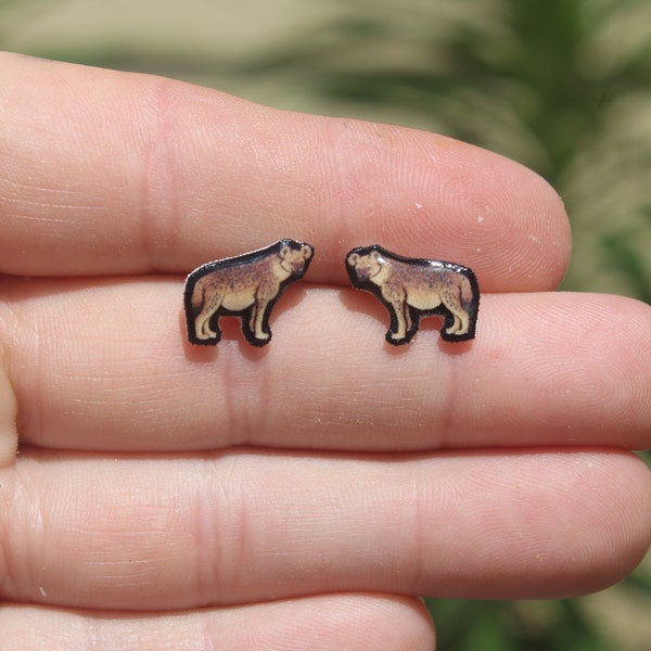 Spotted Hyena Stud Earrings: Gift for bird animal lovers, vet techs, veterinarians, zookeeper's cute earrings with Stainless Steel Posts