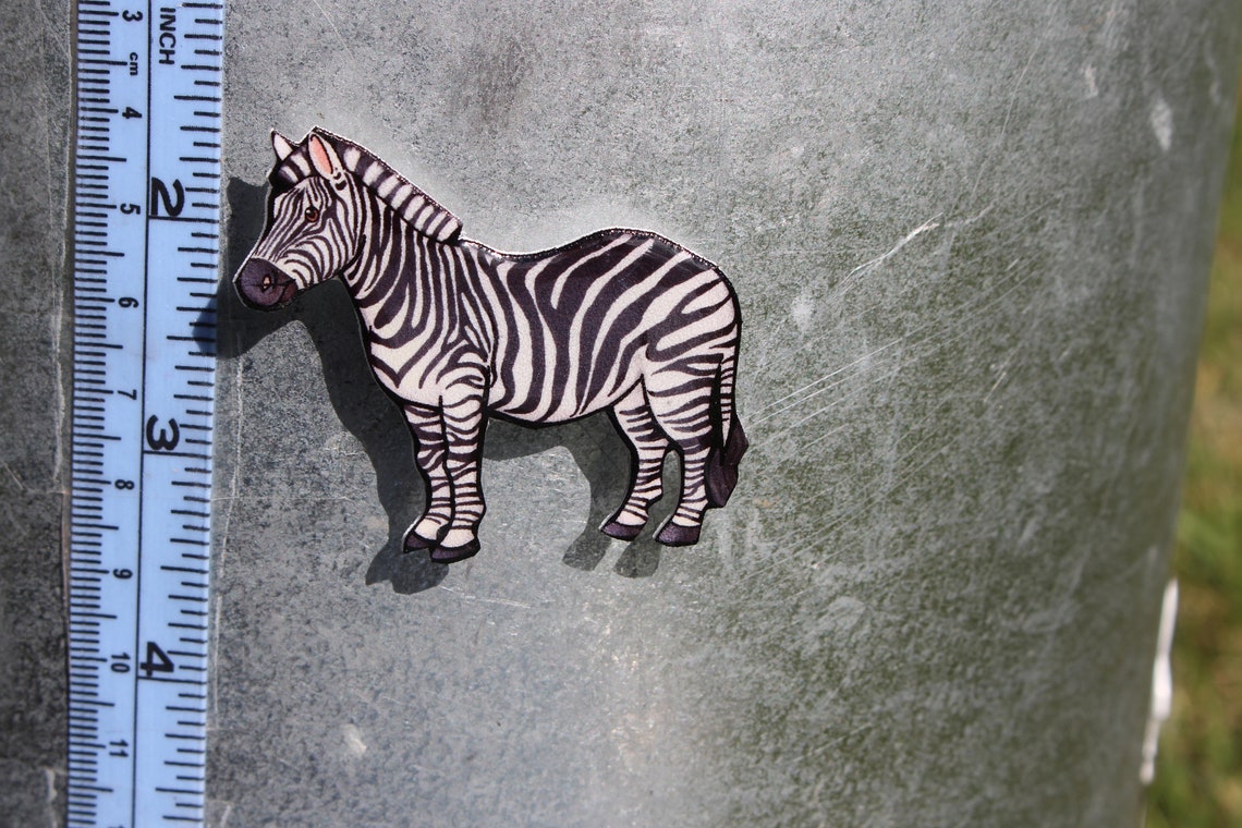 Zebra Gift for Zebra lovers or zoo gifts Cute safari Etsy