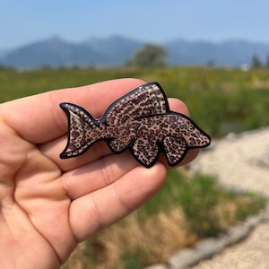 Fridge Plecostomus Magnet: Gift for Fish Lovers, Loss Memorial, Vet techs, Veterinarians, zookeepers cute animal magnets for locker