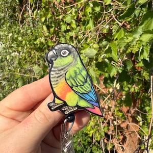 May include: A colorful parrot badge reel featuring a green, yellow, blue, and red bird design. The badge reel has a black retractable cord and a clear plastic clip for attaching to clothing or accessories. The background is a blurred view of green foliage.