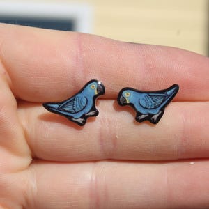 Hyacinth Parrot Macaw Earring Studs: Gift for bird lovers, vet techs, veterinarians, zookeeper's cute earrings with Stainless Steel Posts