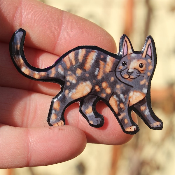 Tortoiseshell Cat Magnet: Gift for Torti Cat lovers, Vet Techs, veterinarians, teachers cute animal magnets for locker or fridge