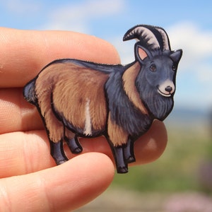 Goat Magnet: gift for Nigerian Dwarf Goat lovers, vet techs, veterinarians, zookeepers, farm animal magnets for  locker or fridge