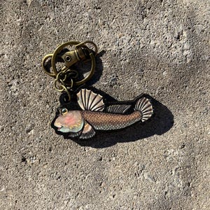 May include: A wooden keychain featuring a detailed illustration of a brown and white fish with a pink belly. The fish has a large fin on its back and a smaller fin on its tail. The keychain is attached to a gold-colored metal ring.