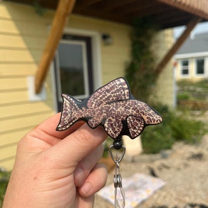 Fish badge Reels Plecostomus Id holder: Retractable Gift for pleco lovers , nurses, zookeepers, aquarium workers, vet techs fish badge reels
