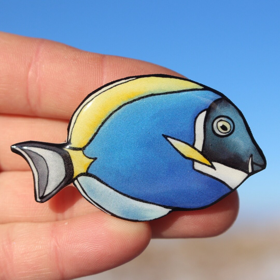 Powder Blue Tang Magnet: Gift for Reef Fish Lvoers, Scuba Divers ...