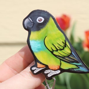 Conure Badge reel ID holder: Gift for conure lovers, nurses, vet techs, veterinarians, zookeepers bird animal badge reels