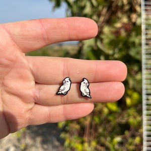 Goffin Cockatoo Stud Earrings: Gift for Bird animal lovers, vet techs, veterinarians, zookeeper's cute earrings with Stainless Steel Posts