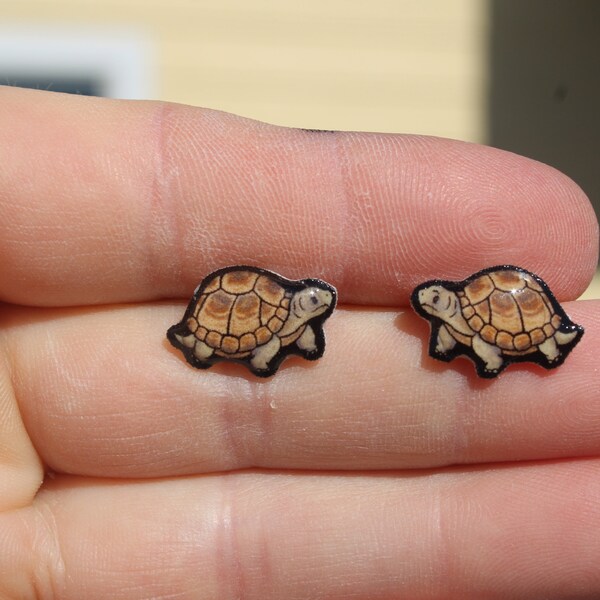 Russian Tortoise Earring studs: Gift for turtle lovers, vet techs, veterinarians, zookeepers cute animal earrings with stainless steel post