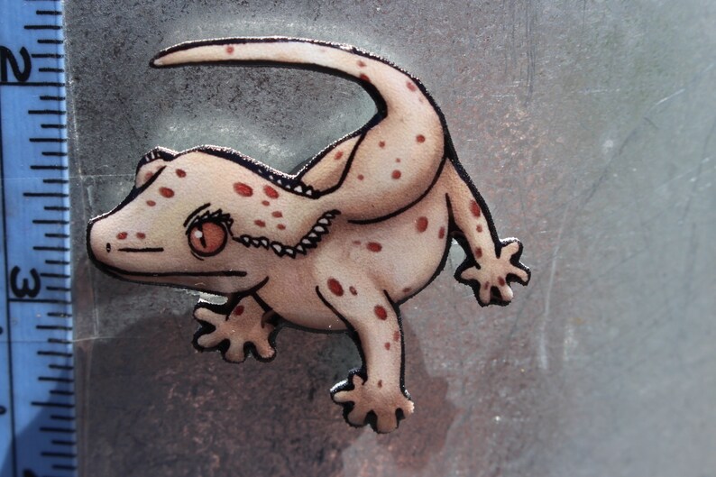 Crested Gecko Great Gift for Lizard Lover for Locker Etsy