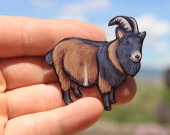 Goat Magnet: gift for Nigerian Dwarf Goat lovers, vet techs, veterinarians, zookeepers, farm animal magnets for  locker or fridge