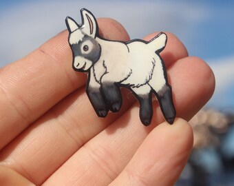 Baby Pygmy Dwarf goat magnet: Gift for Goat lovers,  vet techs, veterinarian, zookeeper cute farm animal magnets for locker fridge