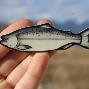 King Salmon magnet: Gift for fisherman, vet tech, zookeeper, outdoorsman, fathers day, game fish cute animal magnets for locker or fridge