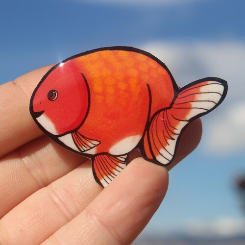 Fruit Bat Gift for Bat Lovers Vet Techs Etsy