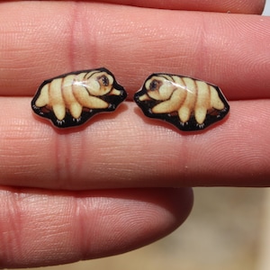 Tardigrade Stud Earrings : Gift for  tardigrade lover, vet techs, veterinarian, zookeeper cute animal earrings with Stainless Steel Posts