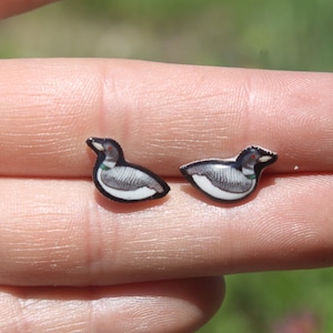 Loon Bird Stud Earrings: Gift for animal lovers, vet techs, veterinarians, zookeeper's cute earrings with Stainless Steel Posts