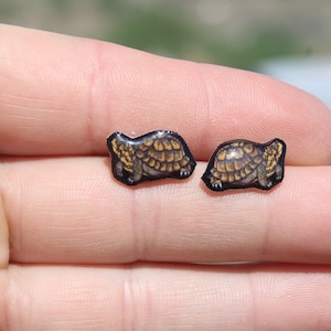 Box Turtle Earring Studs: Gift for turtle Animal lovers, vet techs, veterinarians, zookeeper's cute earrings with Stainless Steel Posts