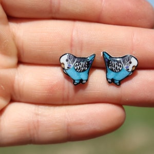 Parakeet Budgie Stud Earrings: gift for bird lovers, teacher, vet tech, zookeeper  Cute animal earrings