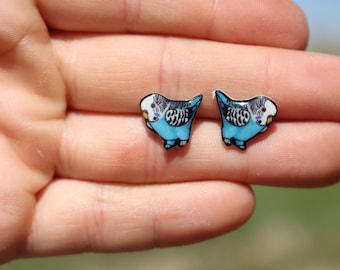 Parakeet Budgie Stud Earrings: gift for bird lovers, teacher, vet tech, zookeeper  Cute animal earrings