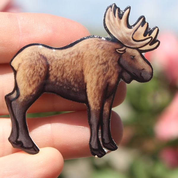 Moose Magnet : Gift for moose lovers, hunters,zookeepers, vet techs, veterinarians cute animal magnets for locker or fridge