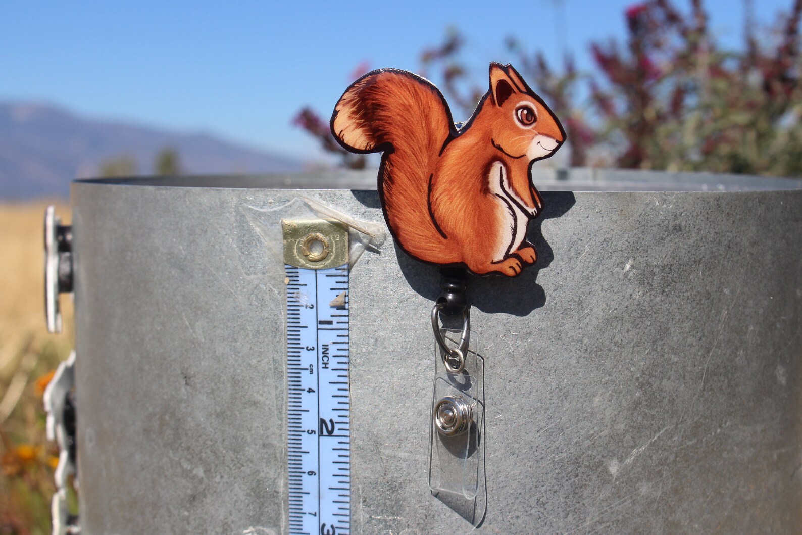 Red Squirrel Badge Reel ID Holder Gift for Squirrel Lovers Etsy