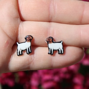 Boer Goat Earrings : Gift for Goat lovers, vet techs, farmers, veterinarians, zookeepers cute stud earrings with stainless steel posts