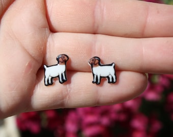 Boer Goat Earrings : Gift for Goat lovers, vet techs, farmers, veterinarians, zookeepers cute stud earrings with stainless steel posts