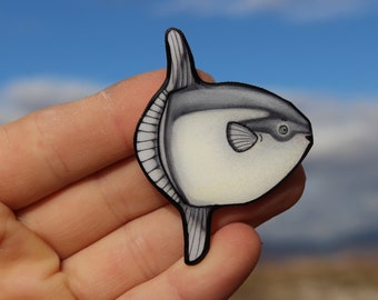 Ocean Sunfish Magnet: Gift for fish lovers, Gamefisher, fishermen, fisherwomen teachers, cute animal magnets for locker or fridge