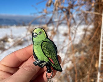 Amazon Parrot Badge Reel ID holder: Gift for Nurses, Bird lovers, vet techs, veterinarians, Teachers cute animal badge buddy