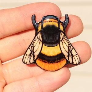 Bumblebee Magnet: Gift for bug lovers, vet techs, veterinarians, zookeepers cute animal magnets for locker or fridge